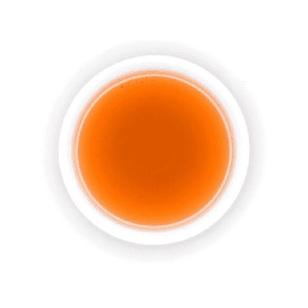 Tip of the Morning - N°518 - Image 2